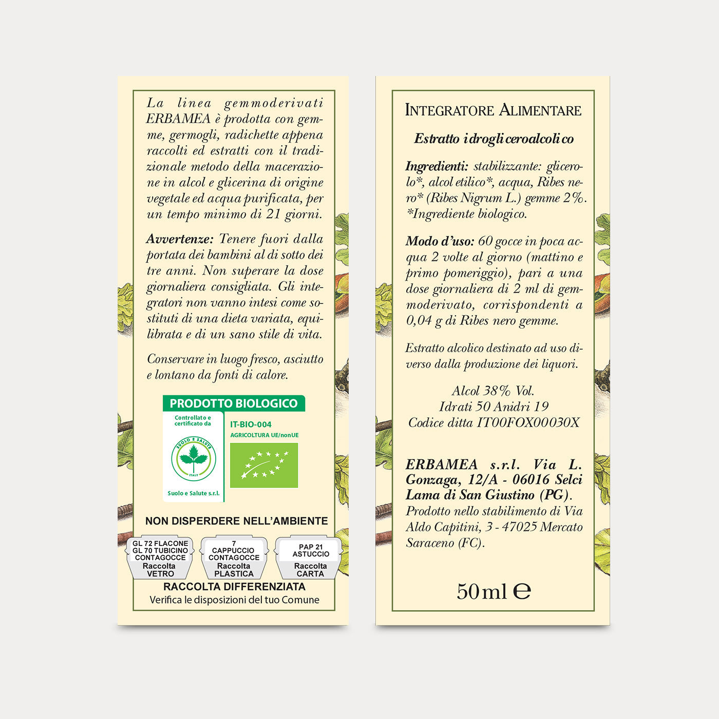 Integratore Ribes Nigrum