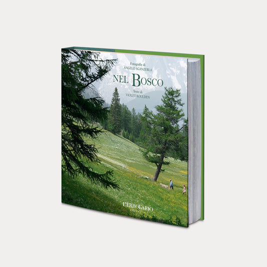 Libro Nel Bosco