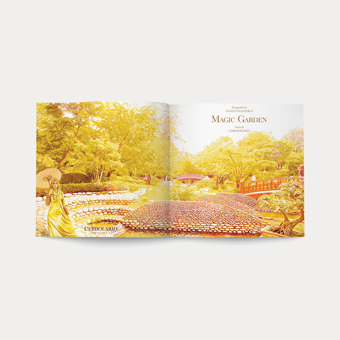 Libro Magic Garden