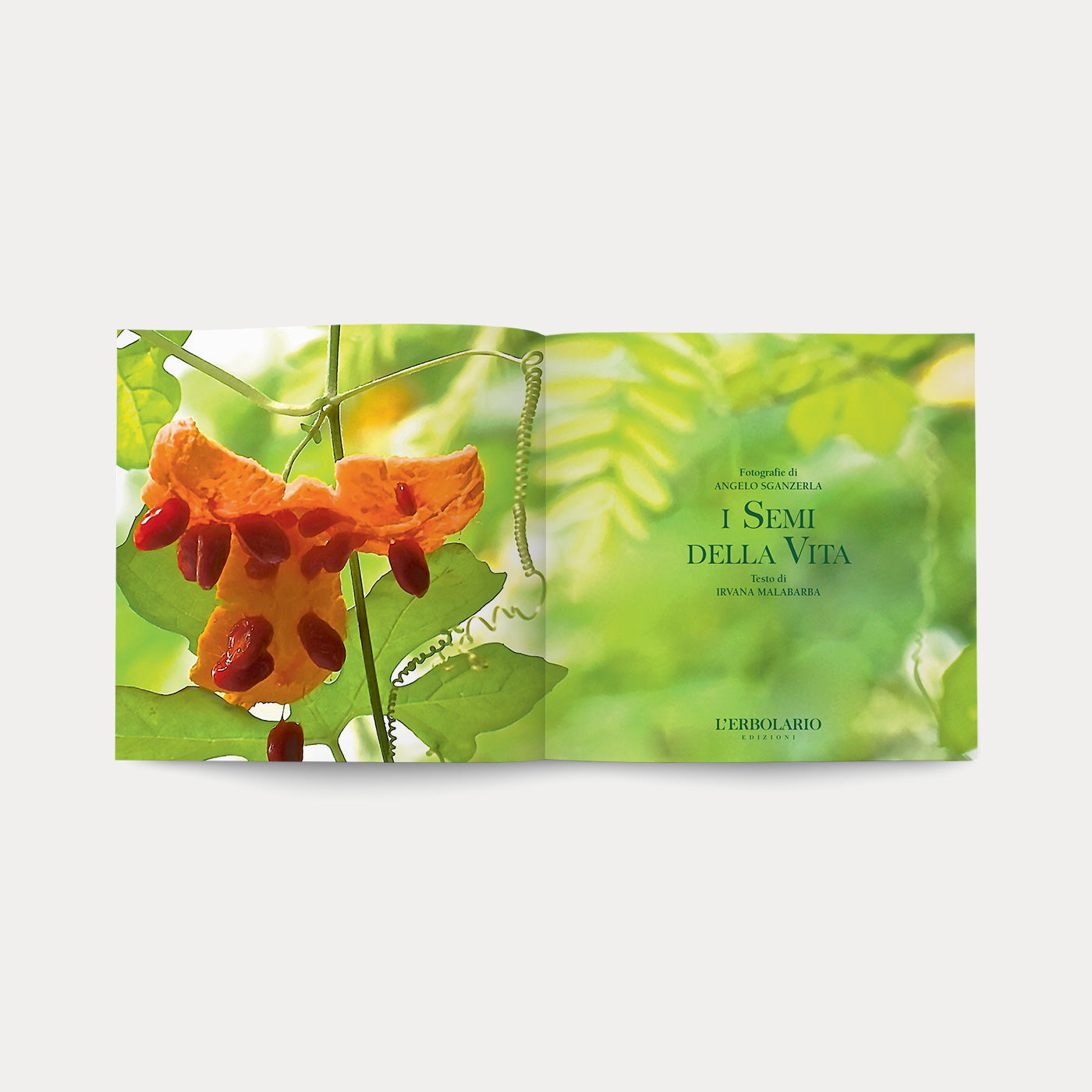 Libro I Semi della Vita