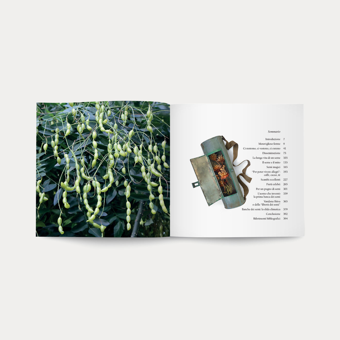 Libro I Semi della Vita