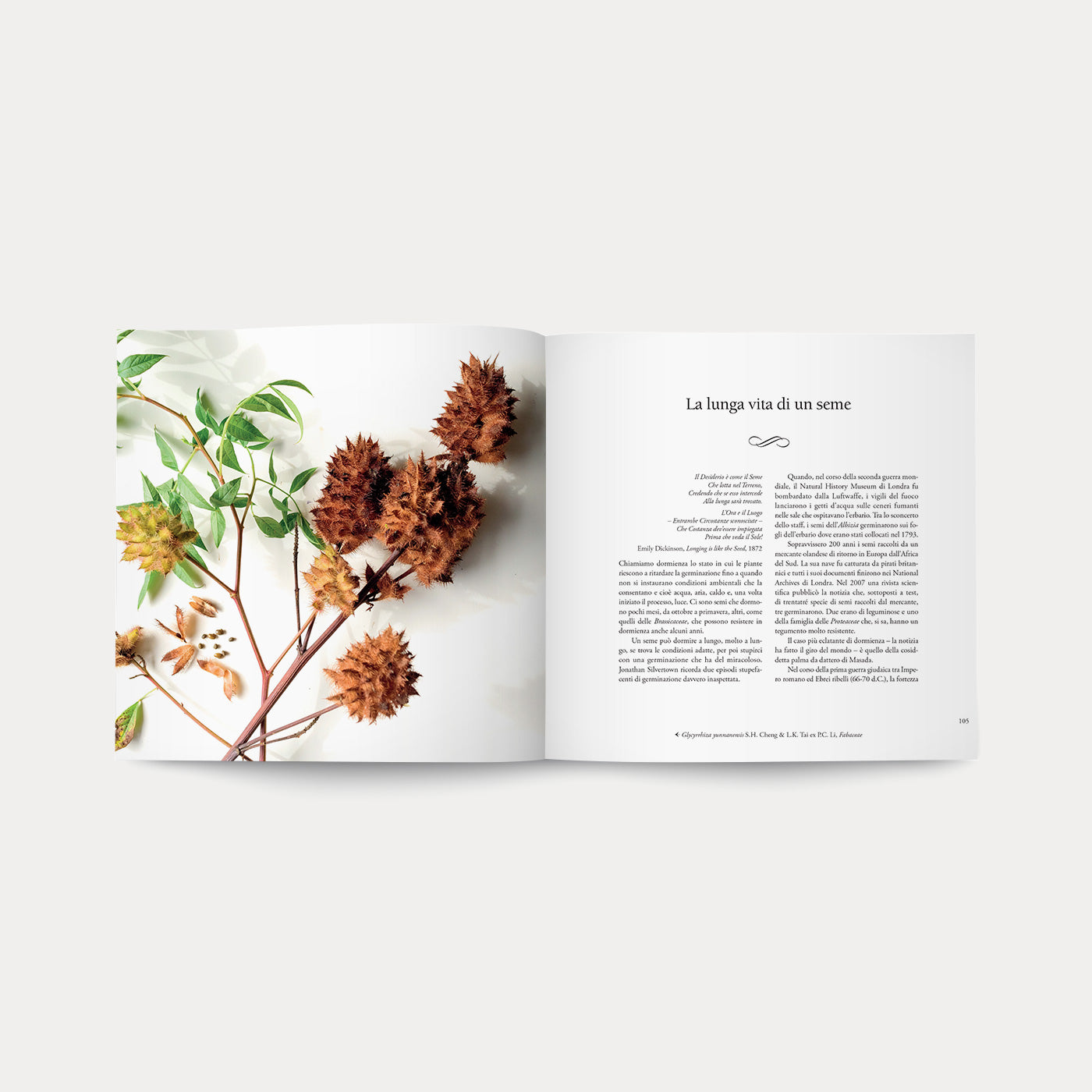 Libro I Semi della Vita