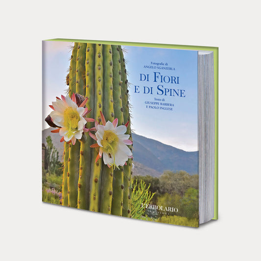Libro Di Fiori e di Spine