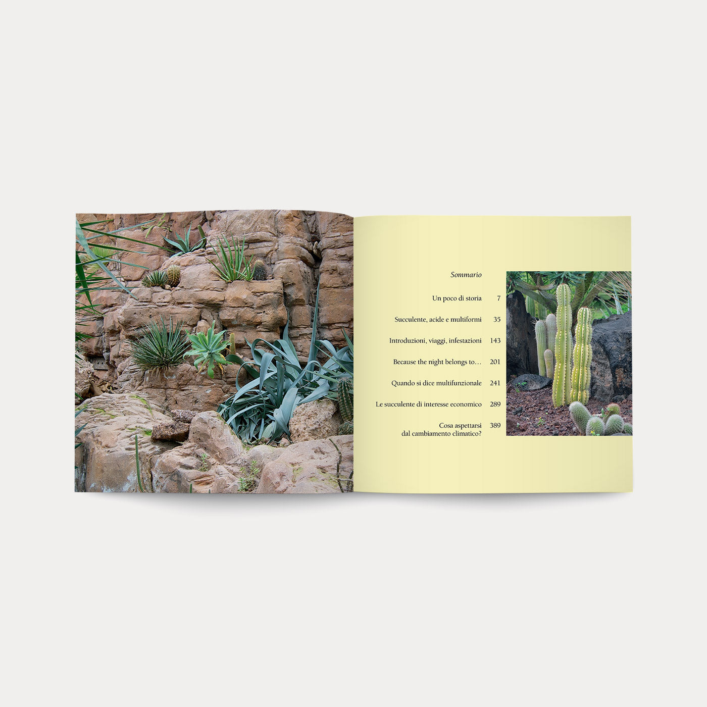 Libro Di Fiori e di Spine