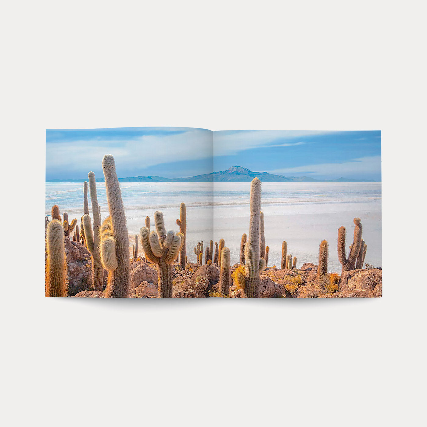 Libro Di Fiori e di Spine